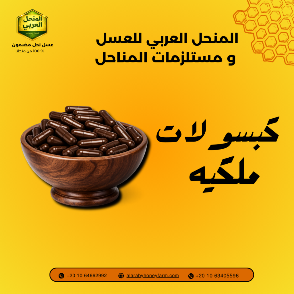 الخلطه الملكيه السحريه كبسولات المنحل العربي لتقوية المناعة