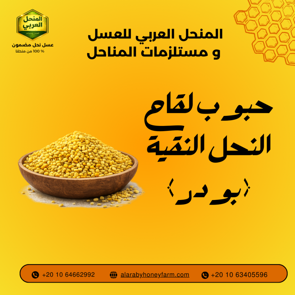 حبوب لقاح النحل النقية بودر من المنحل العربي مكمل غذائي طبيعي