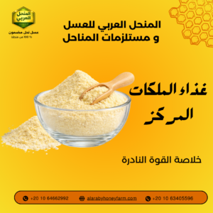 غذاء ملكات النحل المركز بودر من المنحل العربي خلاصة القوة النادرة