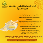 فوائد غذاء ملكات النحل كمكمل غذائي شامل للرجال والنساء والأطفال